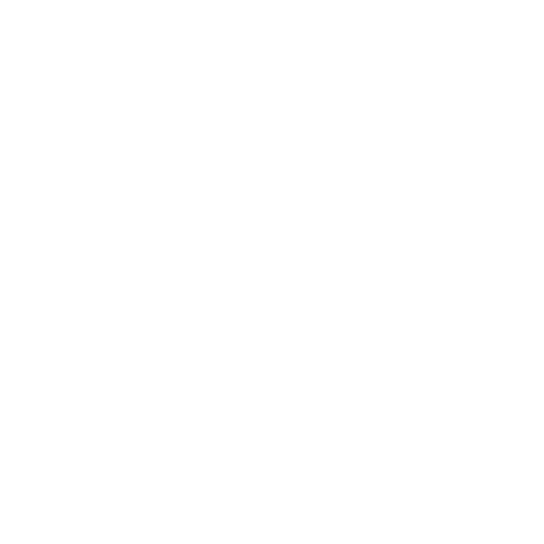 SmartNess